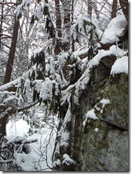 This was on a trail that was "not suitable" for skiing - I decided that snowshoeing isn't skiing...HA!