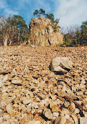 Suché skály jsou přírodní rezervací o rozloze 4,5 ha. Nachází se 1 km východně od obce Lubnice na soutoku Blatnice a Želetavky. Předmětem ochrany je území s dochovaným původním charakterem lesních porostů a přirozenou vegetací reliktních (pozůstatkových) borů, sutí a nelesních vegetací skal. V této lokalitě se vyskytuje několik význačnějších rostlinných druhů (např. sněženka podsněžník, oměj vlčí, kručinka chlupatá), především však kriticky ohrožený hvozdík moravský.