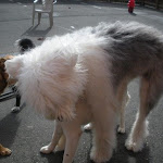 DSCN4558.jpg