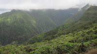 Waihee gorge.
