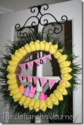 IMG_2154 IMG_2154
