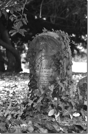 cr-tombstone-leesburg-14-wb