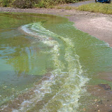 IMAG0024.jpg