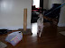 Breezy's First Day Home