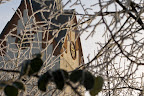 Willehadikirche