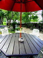 DSC00447 DSC00447