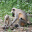 DSC_0096_01.JPG