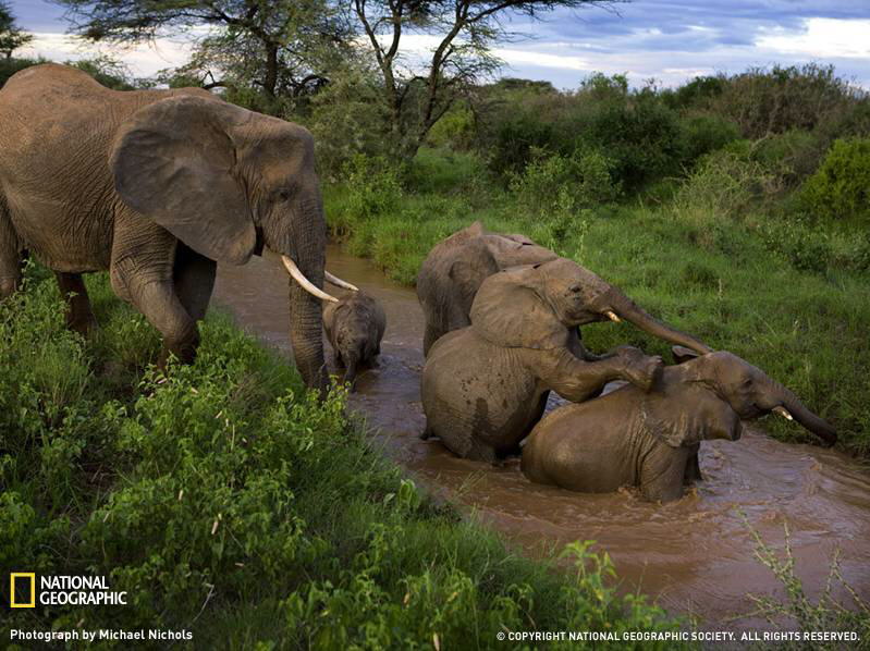 PHOTOS FROM NATIONAL GEOGRAPHIC