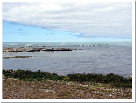 South Bay Kaikoura.