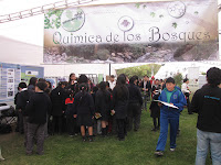 FIESTA DE LA QUÍMICA 511.jpg