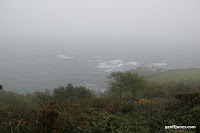 IMG_9260.JPG Photo