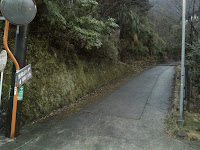 DSC_0067.JPG Photo