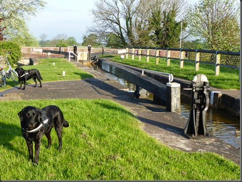 Hassall Green to Middlewich 001 Hassall Green to Middlewich 001