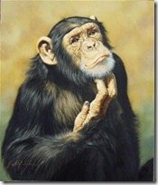 monos piensan blogdeimagenes (11)