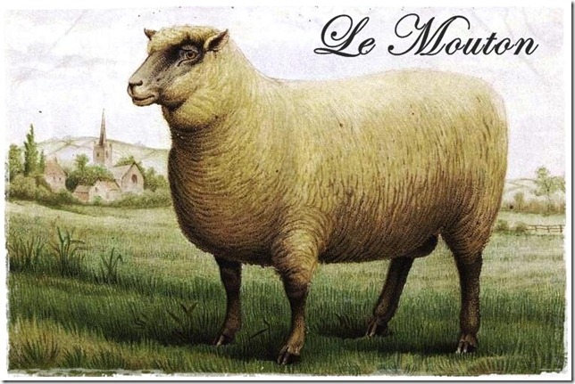 sheep2 sheep2