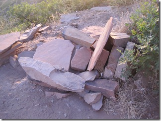 IMG_7924 IMG_7924