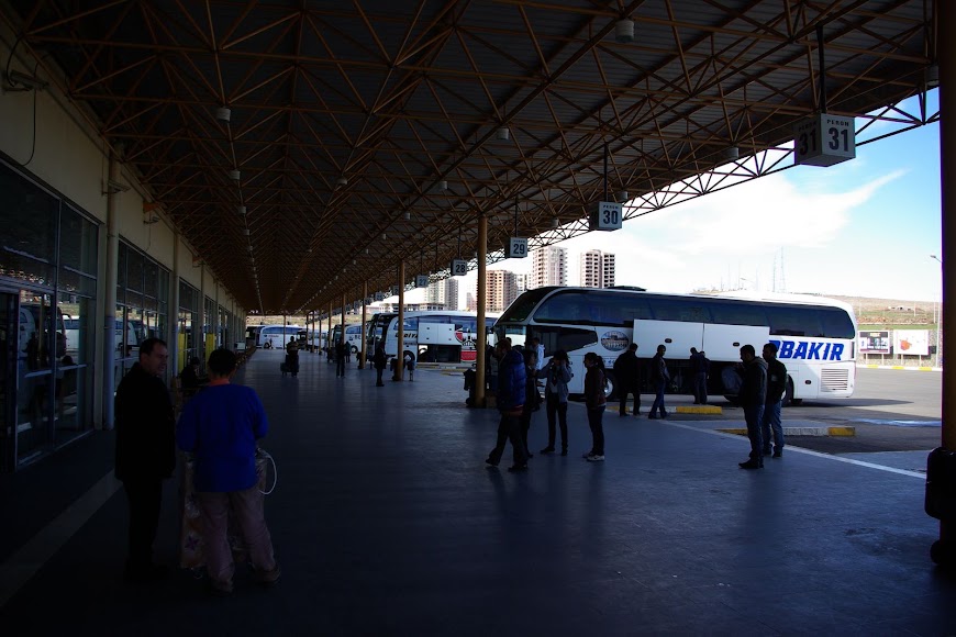 IMGP2612.jpg