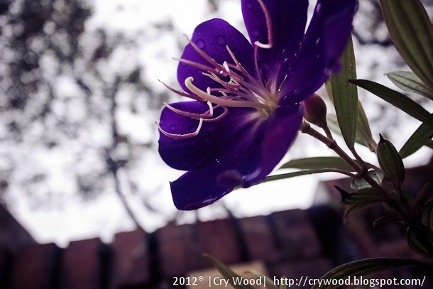 R0060044 R0060044