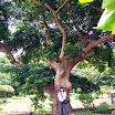 20060819_22_kenting_118.jpg