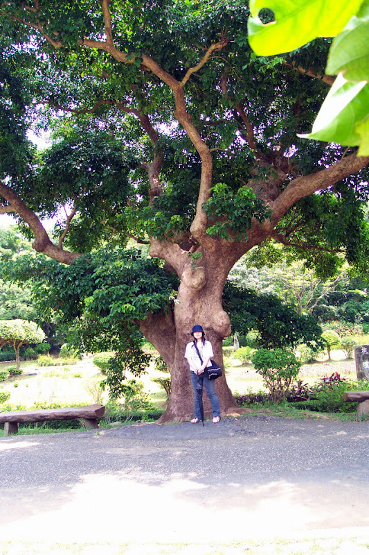 20060819_22_kenting_118.jpg
