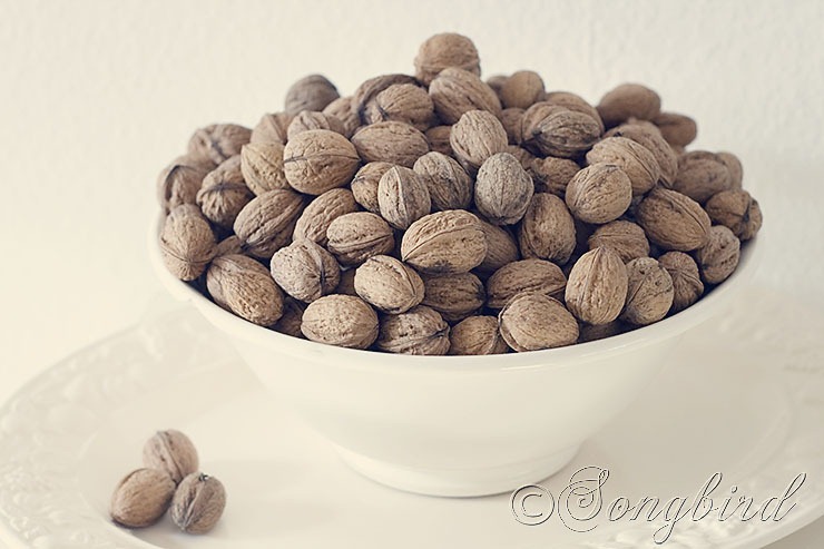 [Bowl-with-Walnuts-28.jpg]
