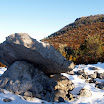 XA123569.JPG