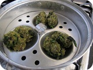 IMG_6656 IMG_6656