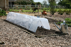 Giant Easy Poly Tunnel - over seedlings and young plants