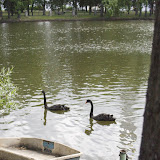 _MG_2467.jpg