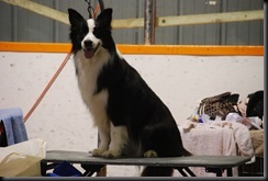 DSC_0078