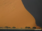 Hidden Vlei
