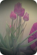 FxCam_1330369066371