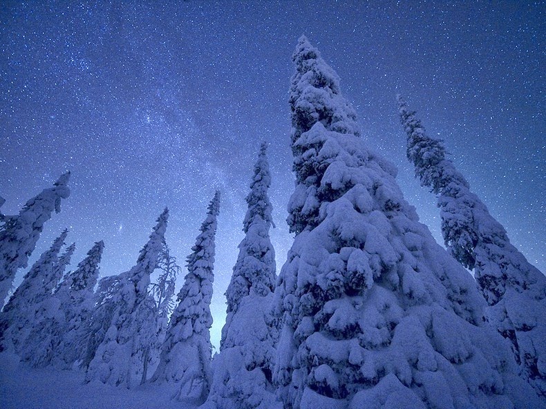 Mùa đông ở công viên Riisitunturi National, Phần Lan. Riisitunturi-tykky-10%25255B2%25255D