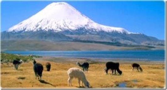 chile chile