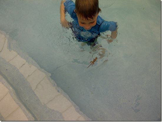 IMG-20110924-00706