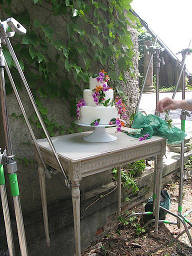We wanted to shoot the cake in front of the ivy, but unfortunately it was too high up on the wall. Not to be deterred, we rigged a levitating table that could reach the plant!