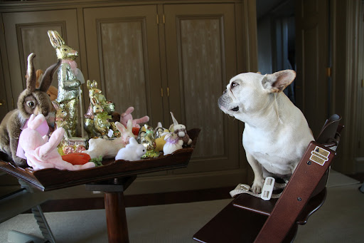 Francesca, you're so silly.  These are not our toys!  The house is being decorated for Easter.  This table is covered in bunnies.  Because rabbits have multiple births, they're considered a symbol of fertility and rebirth.