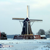 DSCF5637.jpg