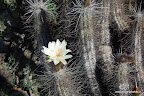 Ruta Costera Desierto Atacama