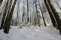 IMG_7425.jpg Photo