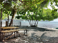 IMG_0382.jpg Photo