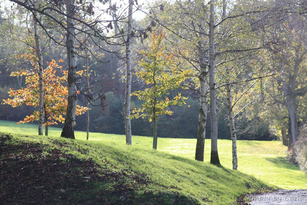 [IMG_5038%255B9%255D.jpg]