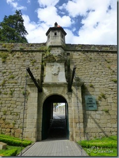 P1030190 P1030190