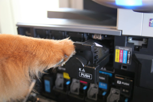 Here it is.  An easy task for a tech-dog, like me.