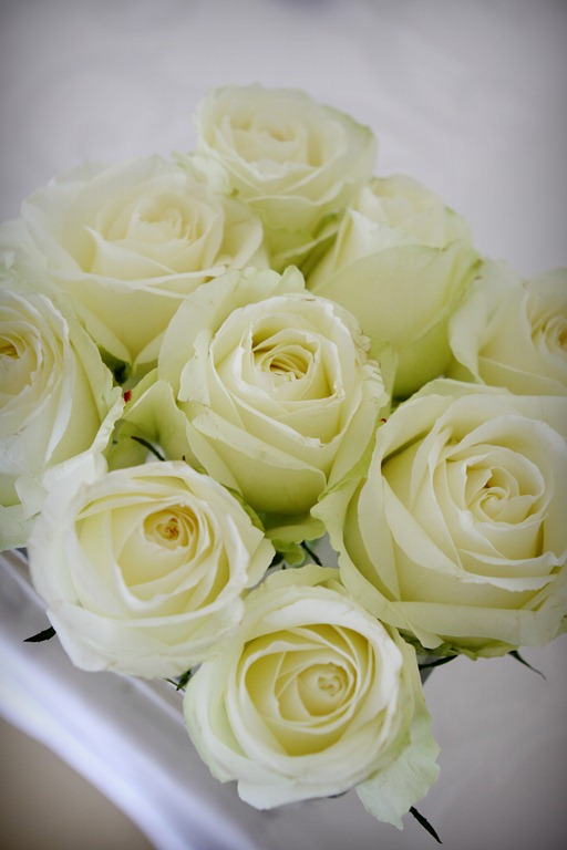 [IMG_8393%2520a%255B5%255D.jpg]