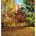 IMAGE22.JPG