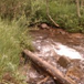 View album