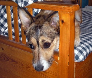 SANY0007_1 SANY0007_1
