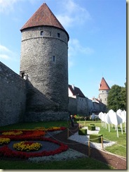 20130727_Medieval Walls Tallinn flower festival (Small)