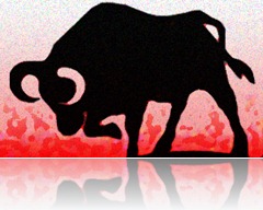 Bull_fighting
